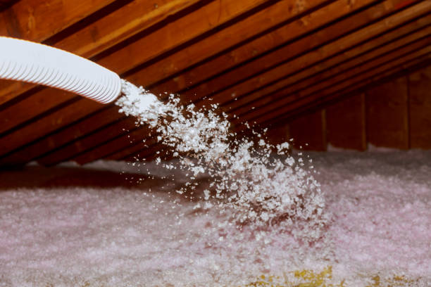 Best Attic Insulation Installation  in St Vincent College, PA