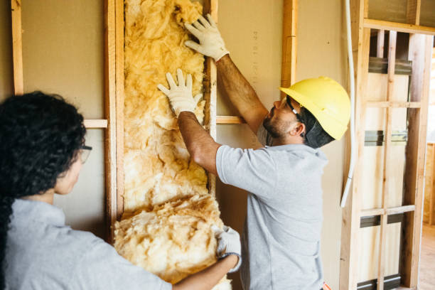 Insulation for Commercial Buildings in St Vincent College, PA