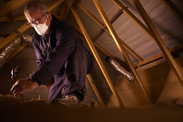 Insulation Contractors for Homes in St Vincent College, PA
